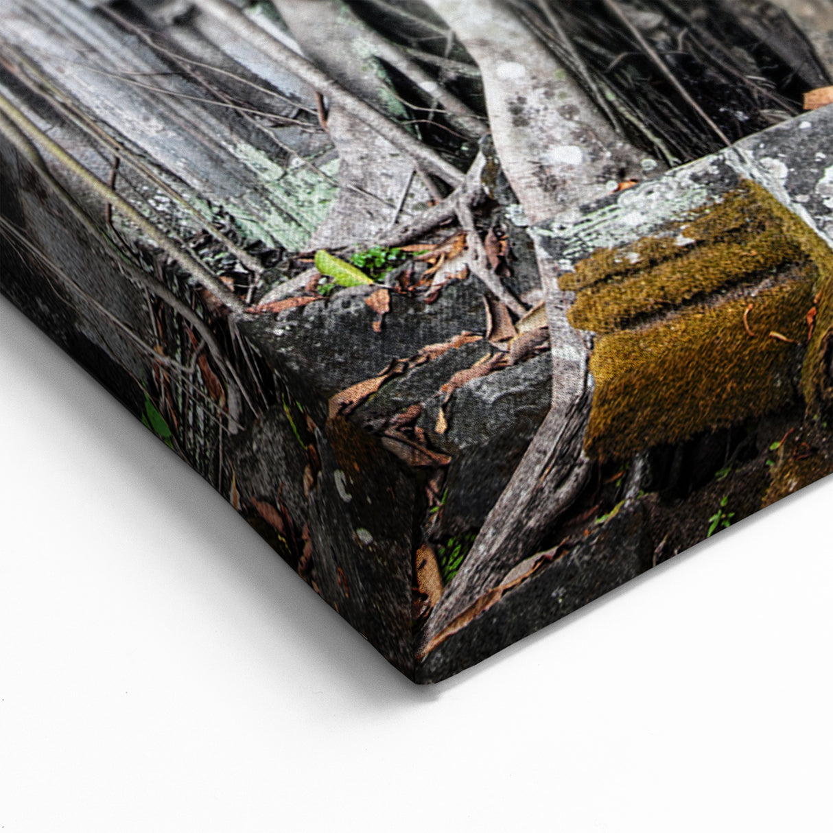 Cambodia Wall Art - Ta Prohm Temple Ancient Roots Photography