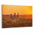Sunset Namibia Wall Art - African Scenery Prints & Zebra Wildlife Art