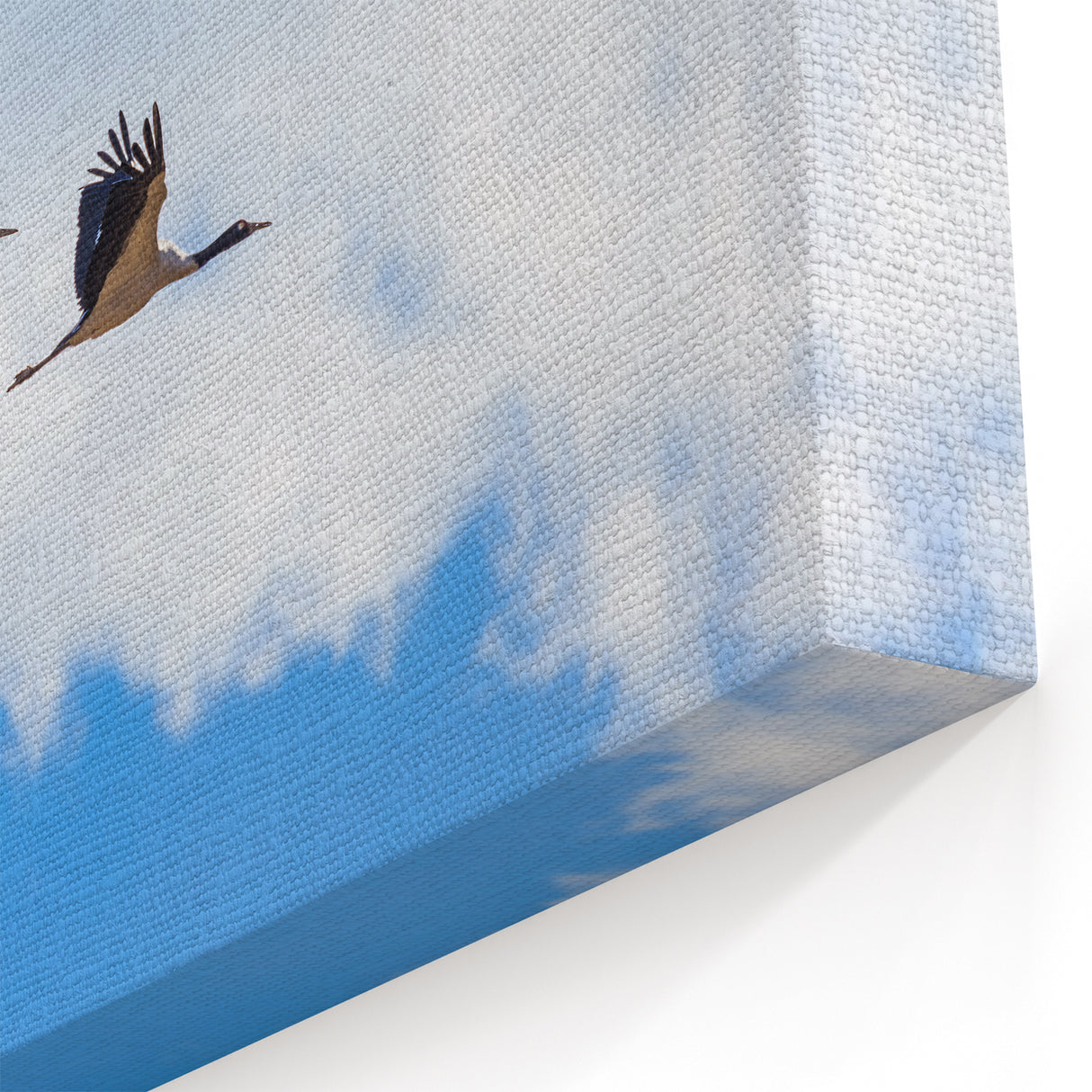 Elegant Bhutan Cranes Wall Art - Serene Sky Canvas Print