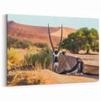 Namibia Wall Art - Resting Oryx Amidst Desert and Greenery Canvas Print