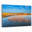 Namibia Flamingos – Vibrant Wildlife at Desert Oasis Wall Art Print
