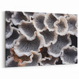 Elegant Marine Flora in Black and White – Coastal Botanical Wall Art