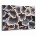 Elegant Marine Flora in Black and White – Coastal Botanical Wall Art