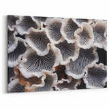 Elegant Marine Flora in Black and White – Coastal Botanical Wall Art