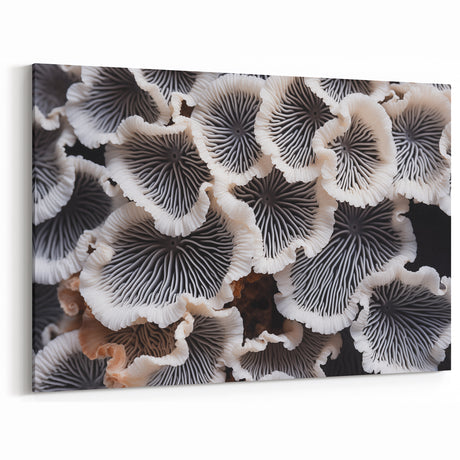 Elegant Marine Flora in Black and White – Coastal Botanical Wall Art