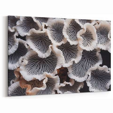 Elegant Marine Flora in Black and White – Coastal Botanical Wall Art