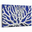 Marine Plants Art: Coastal Botanical White Coral on Blue Canvas Wall Decor