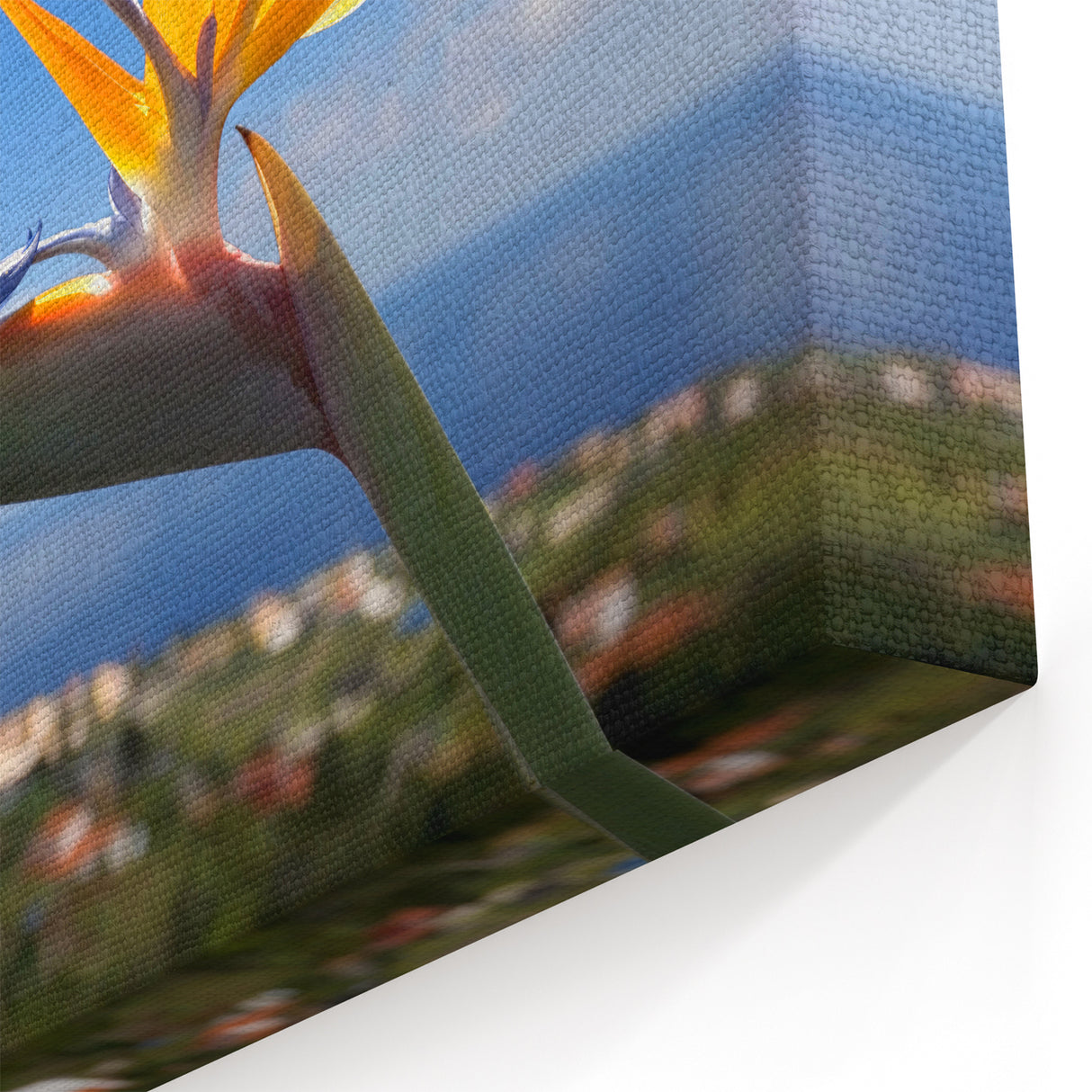 Stunning Bird of Paradise Art Print - Vibrant Tropical Flower Wall Decor
