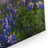 Vibrant Bluebonnet Field at Sunrise - Texas Wildflower Scenic Wall Art