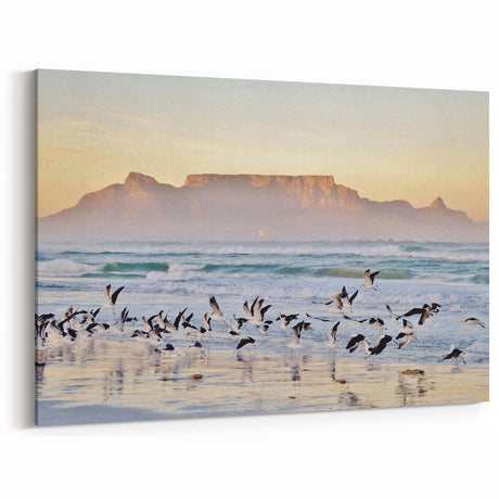 South Africa Wall Art - Cape Town Canvas of Table Mountain and Seagulls