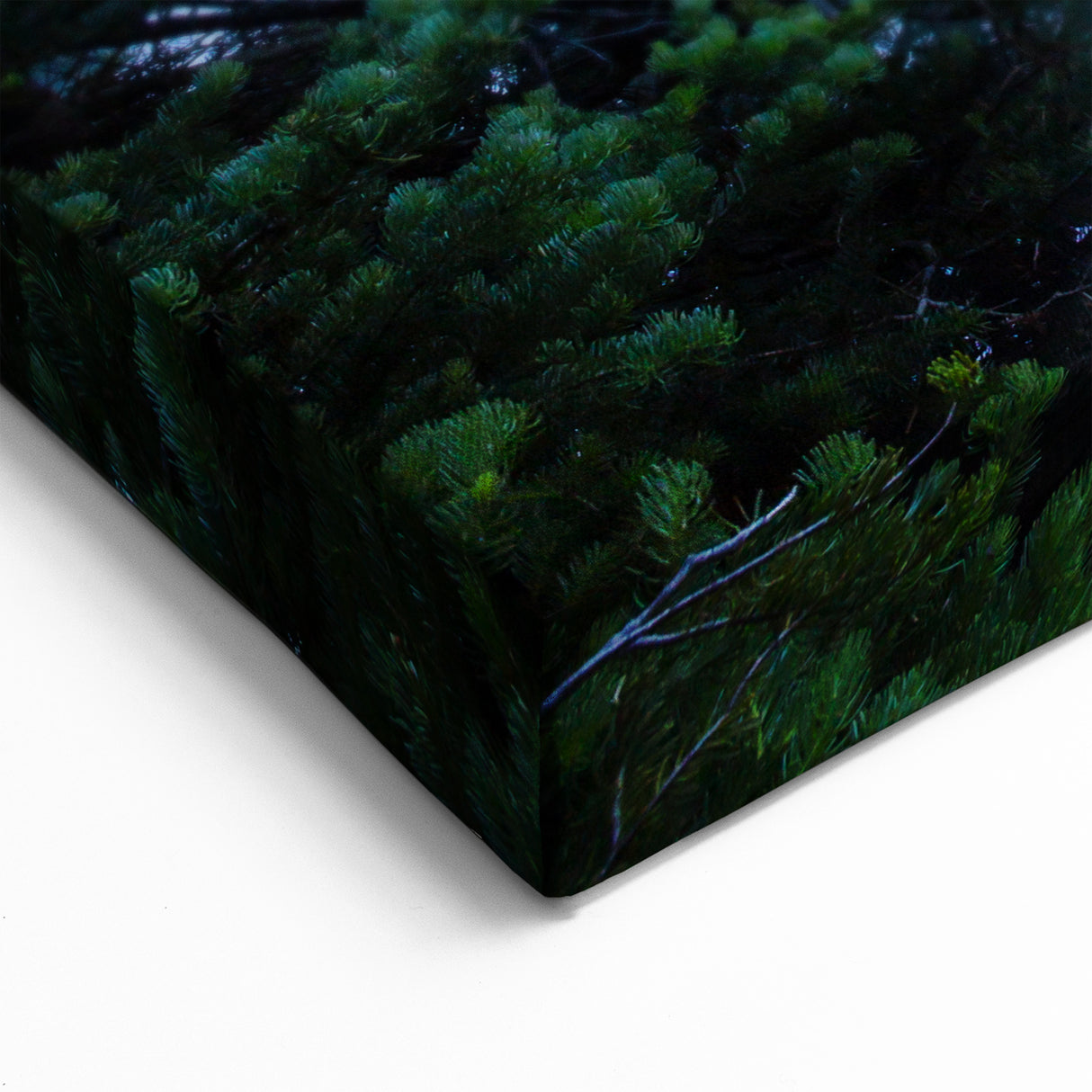 Crystal-Clear Mountain Lake Art – British Columbia’s Scenic Wilderness