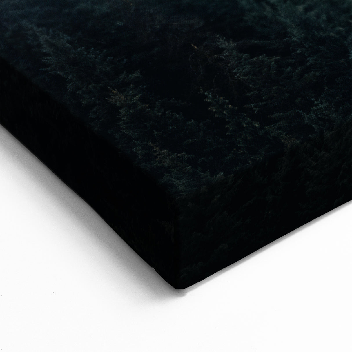 Misty Forest Wall Art – British Columbia’s Enchanting Wilderness Scene