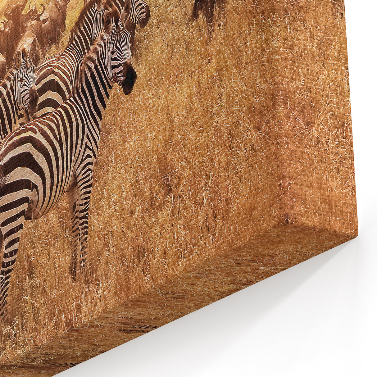 Serengeti Wildlife Art - Zebras and Wildebeests at Sunset Canvas Print