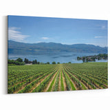 Vineyard by the Lake – British Columbia Vineyard Wall Art