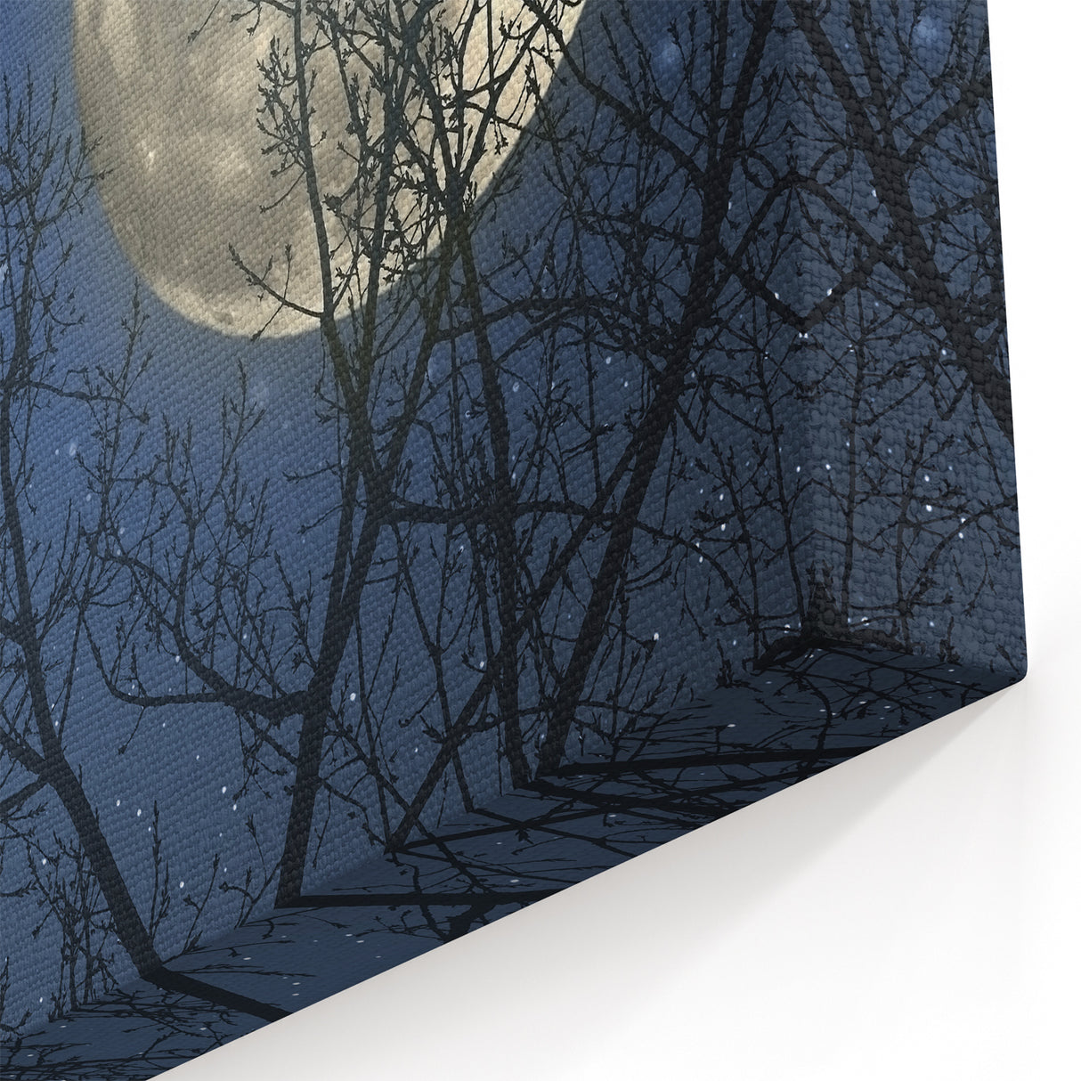 Stunning Moonlit Night Canvas – Celestial Decor with Lunar Phases