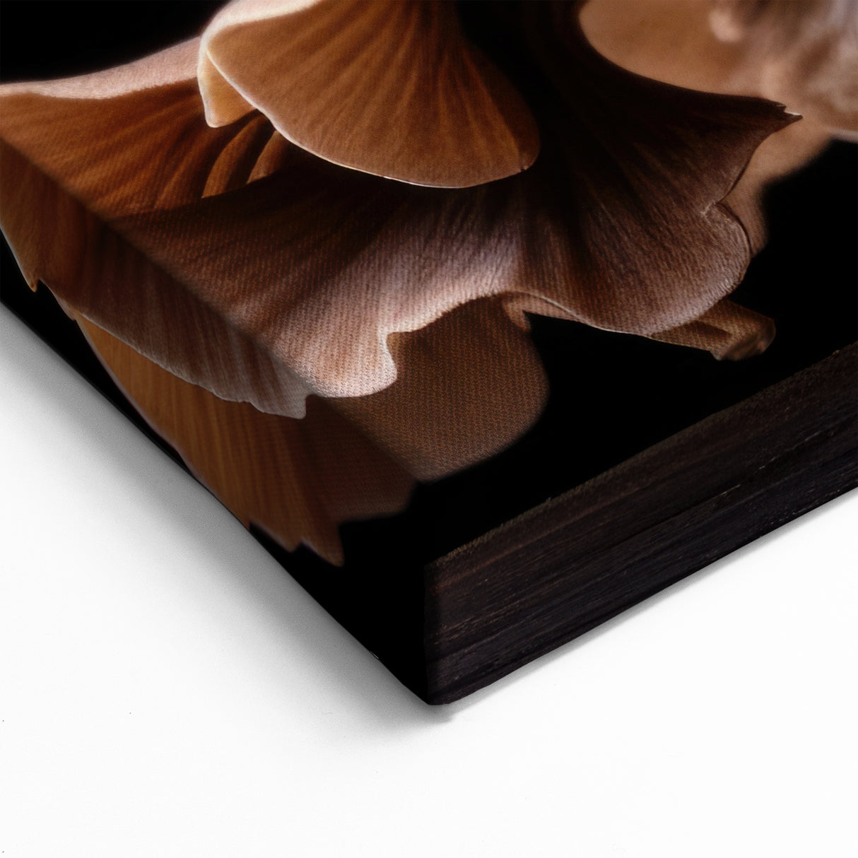Mushroom Wall Art | Fungi Wall Decor | Botanical Mushroom Canvas Art
