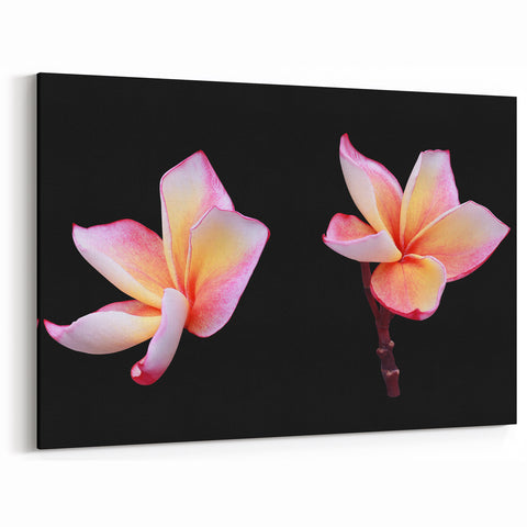 Vibrant Dogwood Blossom Art – Pink and Yellow Floral Canvas Print