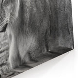 Zambia Wildlife Art - Majestic Lioness in Black and White Canvas Print