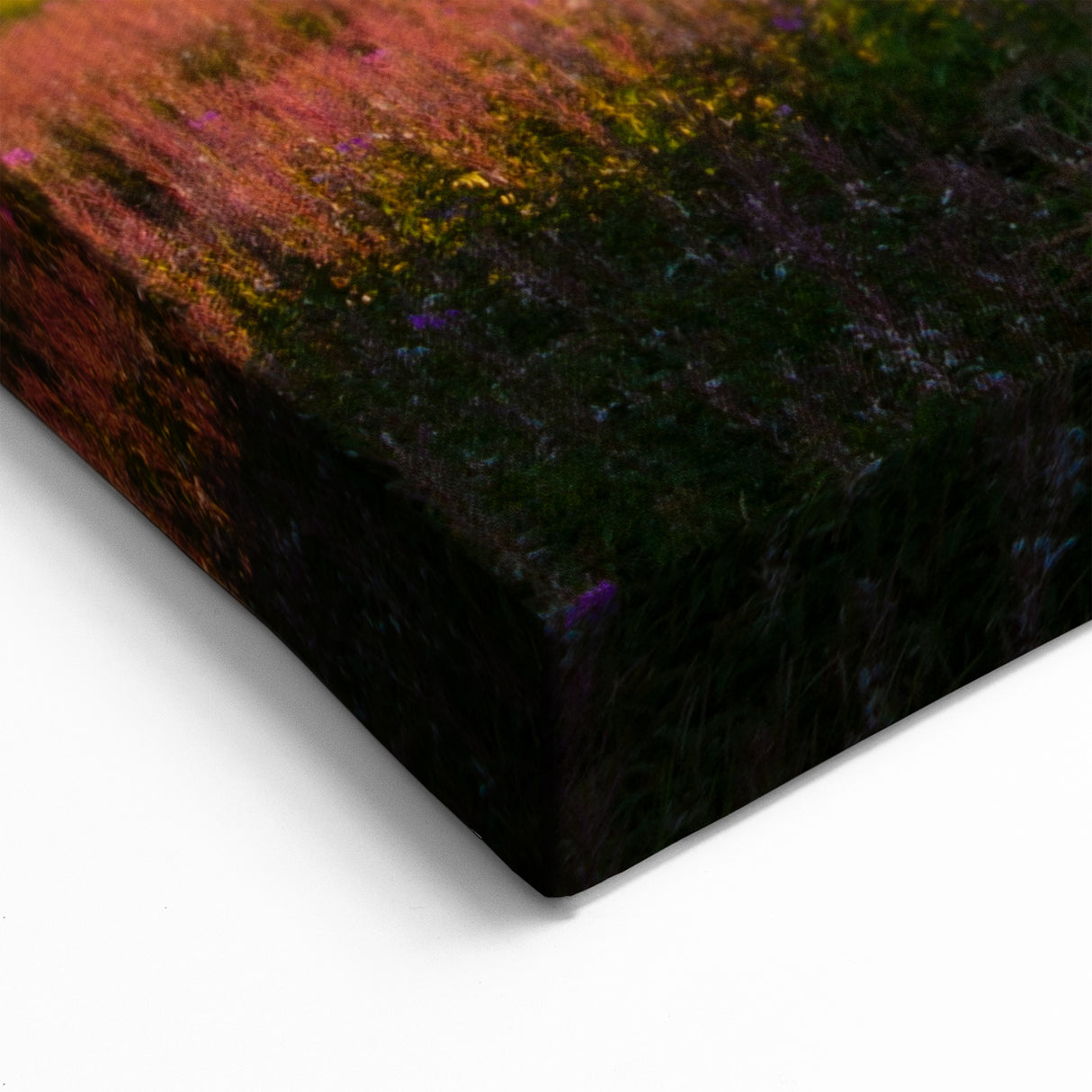 Fireweed Botanical Print - Elegant Fireweed Flower Art on Black Canvas