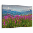 Fireweed Field Art - Scenic Mountain Valley Fireweed Landscape Canvas Print