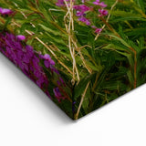 Fireweed Field Art - Scenic Mountain Valley Fireweed Landscape Canvas Print