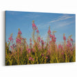 Fireweed Flower Art - Vibrant Fireweed Field Under Blue Sky Canvas Print