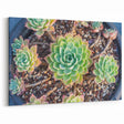 Vibrant Succulent Wall Art - Botanical Greenery Print for Modern Homes
