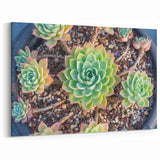 Vibrant Succulent Wall Art - Botanical Greenery Print for Modern Homes