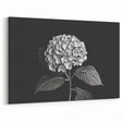 Black and White Botanical Hydrangea Art - Floral Hydrangea Wall Decor