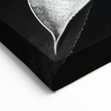 Monochrome Succulent Wall Art - Bold Black & White Botanical Decor