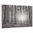 Forest Trees Wall Art - Botanical Forest Canvas - Woodland Tree Paintings