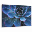 Blue Succulent Wall Art - Elegant Botanical Decor with Purple Accents