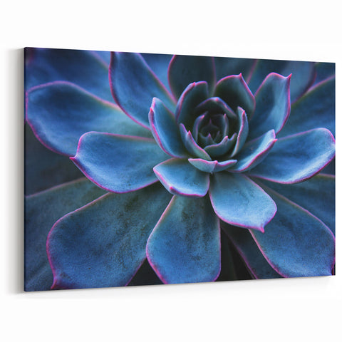 Blue Succulent Wall Art - Elegant Botanical Decor with Purple Accents