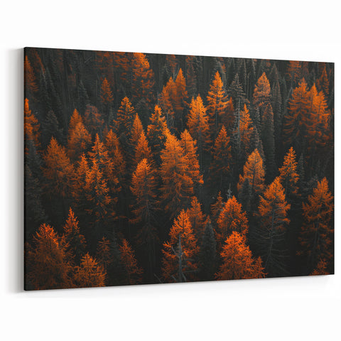Forest Trees Wall Art - Autumn Leaves Woodland Canvas - Nature Landscape