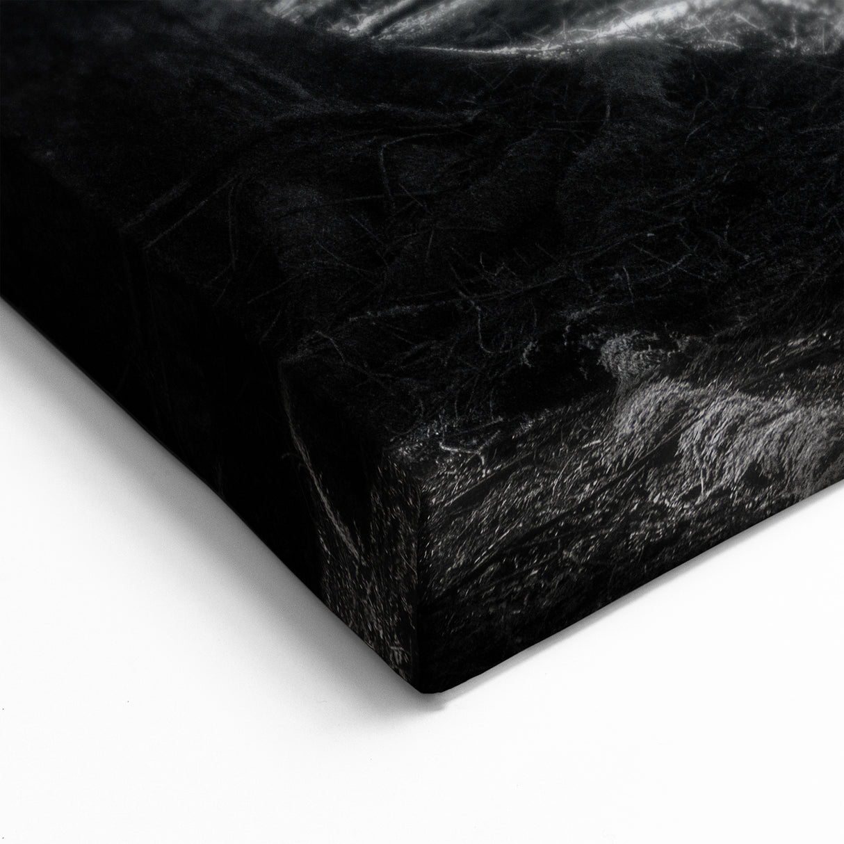 Forest Trees Wall Art - Black and White Nature Canvas - Woodland Prints