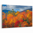 Autumn Forest Trees Wall Art - Vibrant Woodland Canvas - Fall Foliage