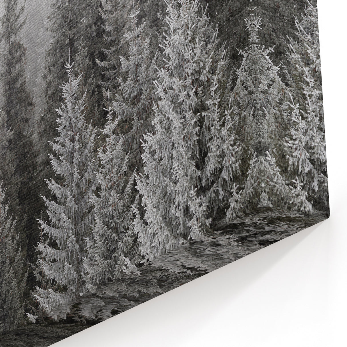 Winter Forest Trees Wall Art - Frosty Woodland Canvas - Nature Landscape