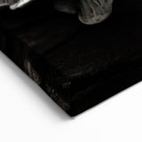 Mushroom Wall Art | Black and White Fungi Prints | Botanical Mushroom Canvas