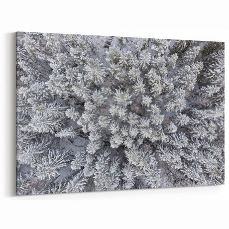 Winter Forest Aerial Wall Art - Snow-Covered Trees Canvas - Nature Decor