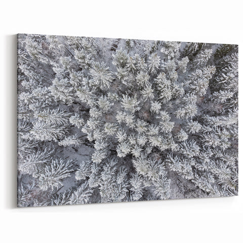 Winter Forest Aerial Wall Art - Snow-Covered Trees Canvas - Nature Decor