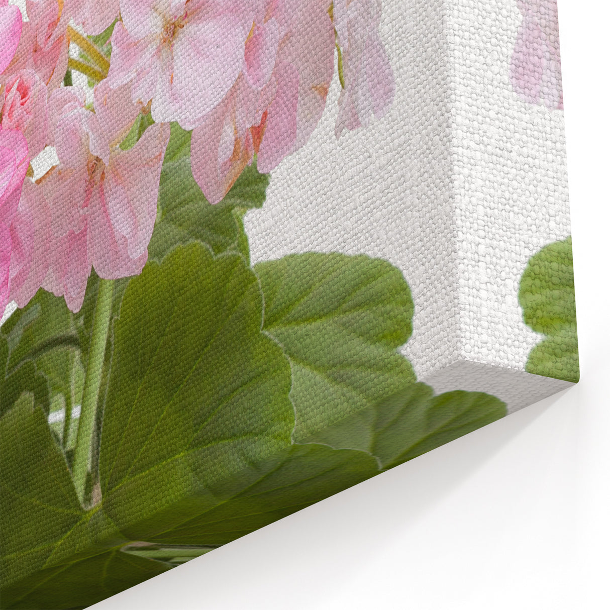Botanical Geranium Prints - Pink Geranium Flower Canvas - Elegant Wall Art