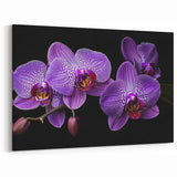Vibrant Purple Orchid Wall Art - Botanical Orchid Canvas Print Decor