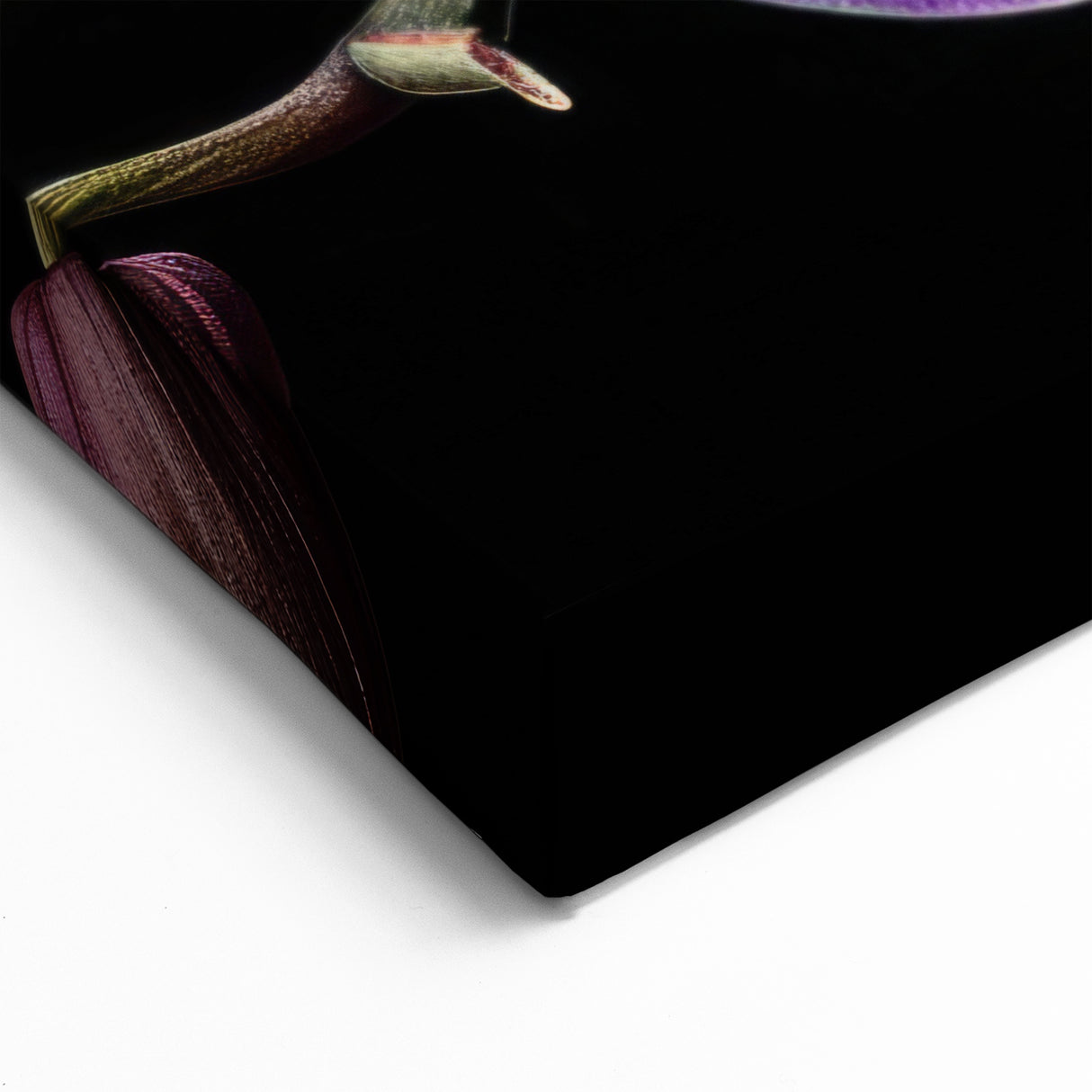 Vibrant Purple Orchid Wall Art - Botanical Orchid Canvas Print Decor