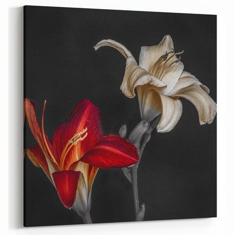 Striking Red and White Lily Art - Floral Canvas Print for Modern Decor