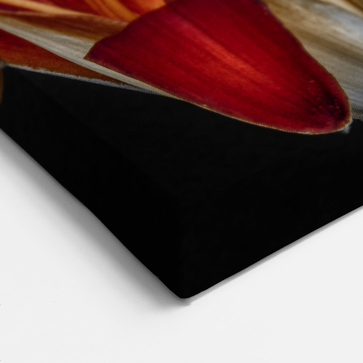 Striking Red and White Lily Art - Floral Canvas Print for Modern Decor
