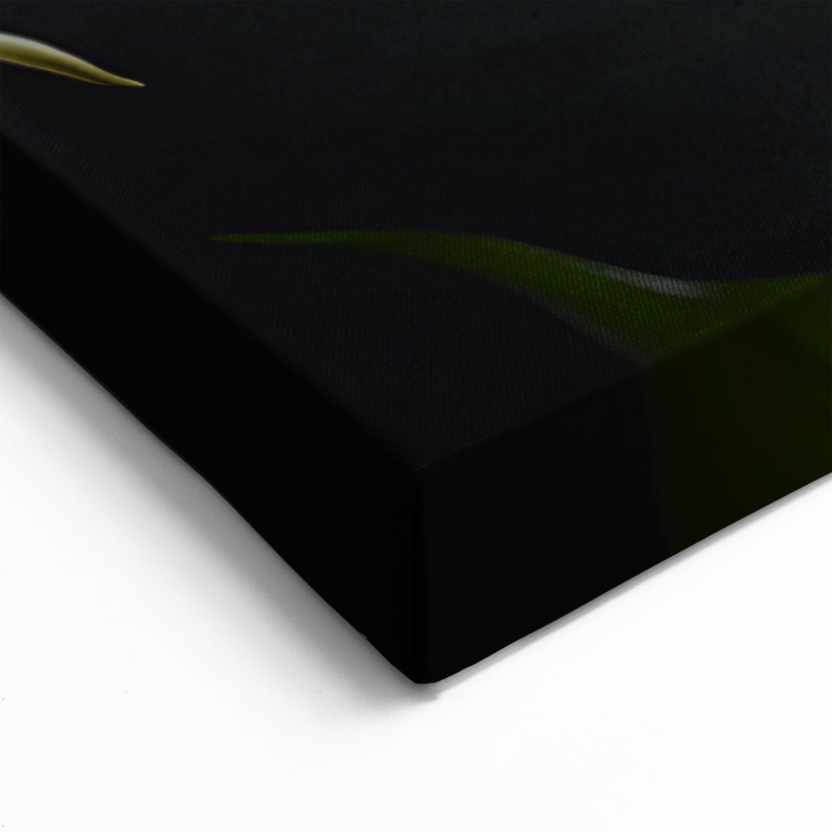 Minimalist White Calla Lily Art - Botanical Canvas Print Wall Decor