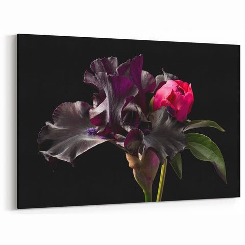 Elegant Peony Flower Art - Peony Wall Art Print for Home Decor