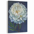 Soft White Peony Art - Classic Peony Botanical Canvas for Home Decor