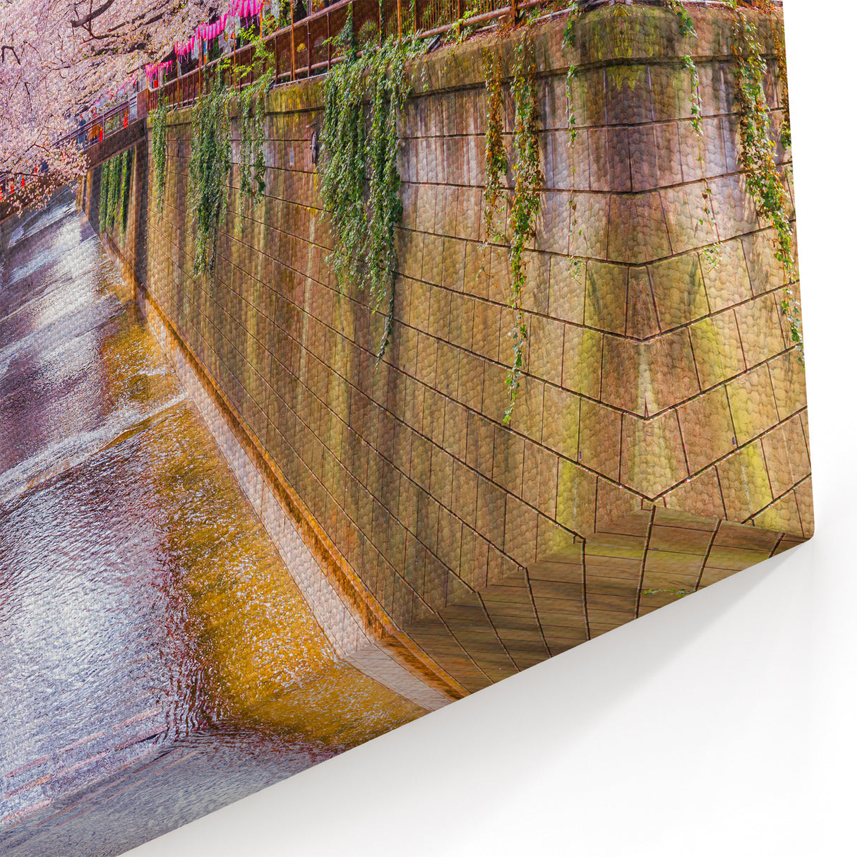 Cherry Blossom Canal Art Print – Peaceful Spring Scene with Sakura Trees