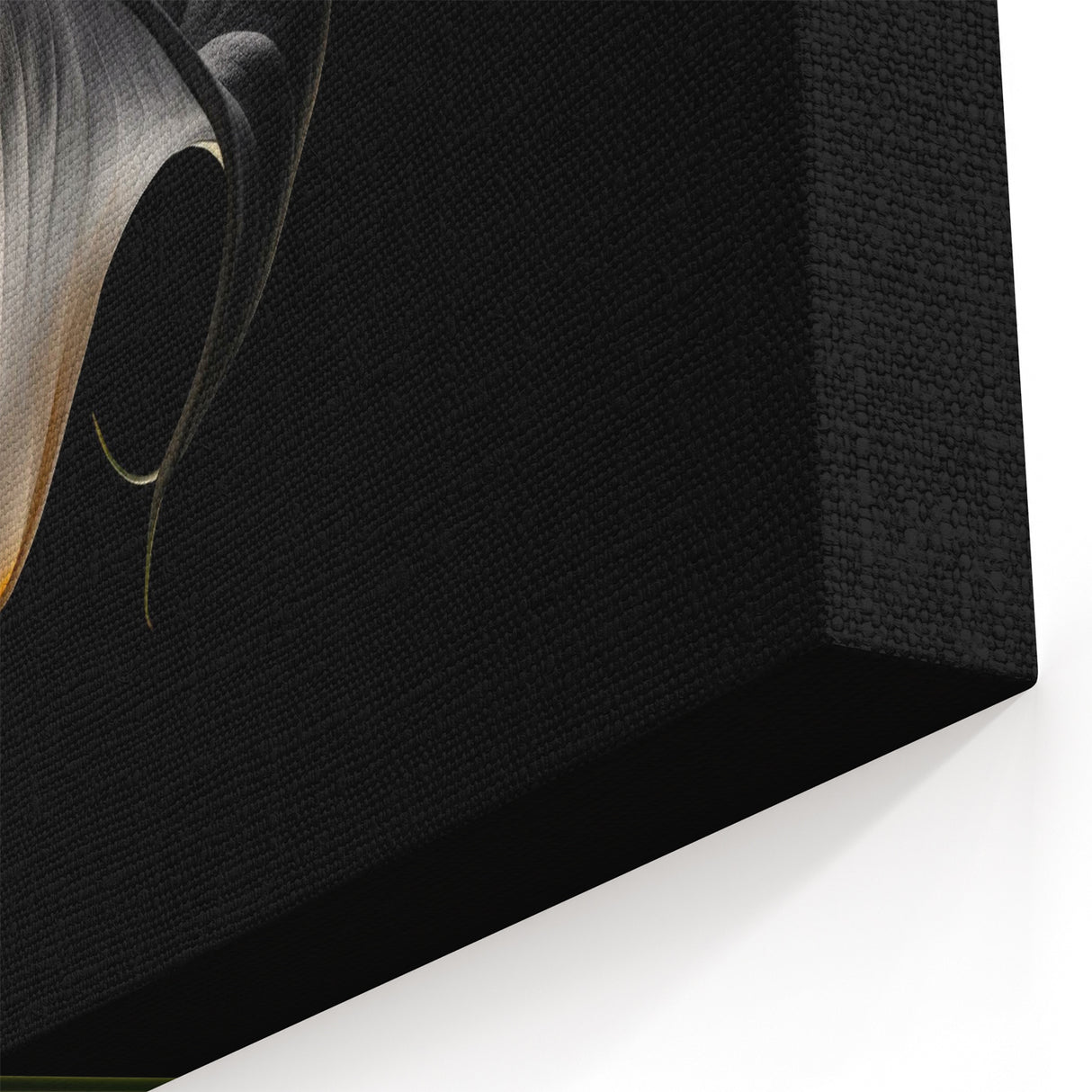 Dramatic Black Lily Flower Art - Minimalist Botanical Wall Decor Print